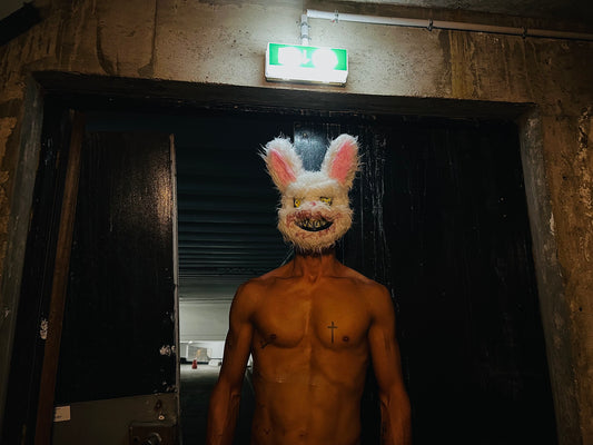 LE LAPINEUR